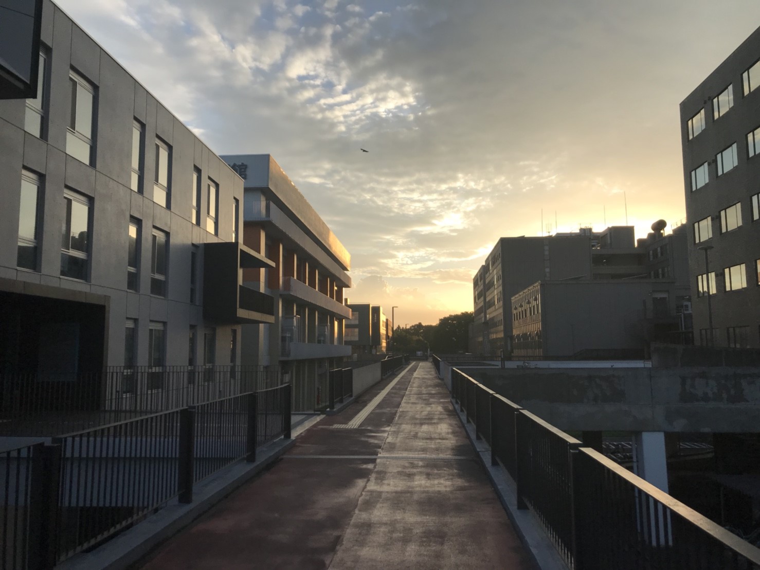 2018_08_23 (58)