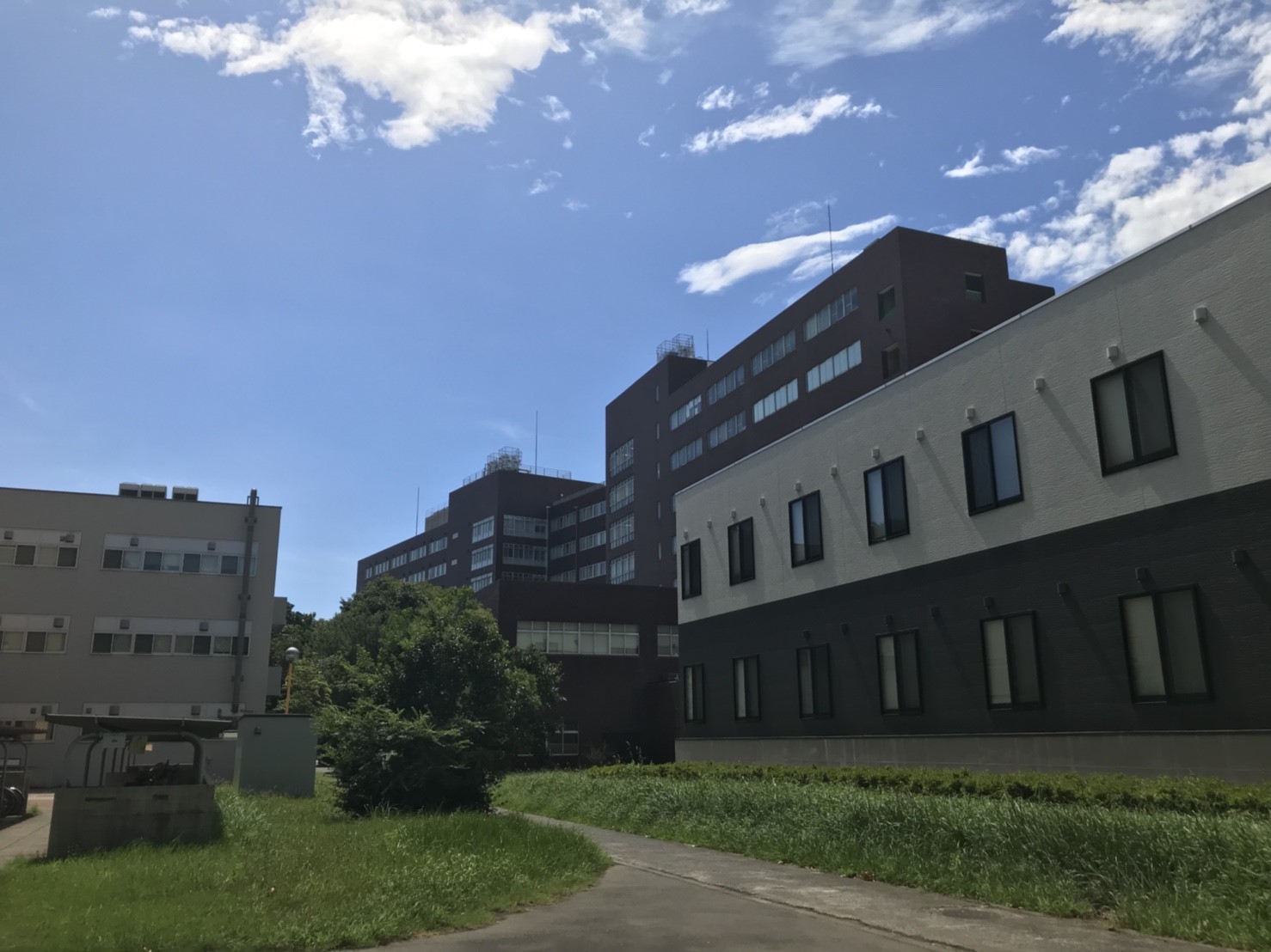 2018_08_23 (61)