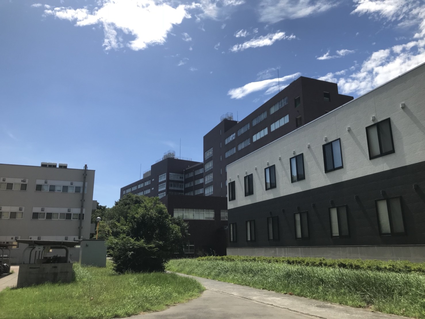 2018_08_23 (62)