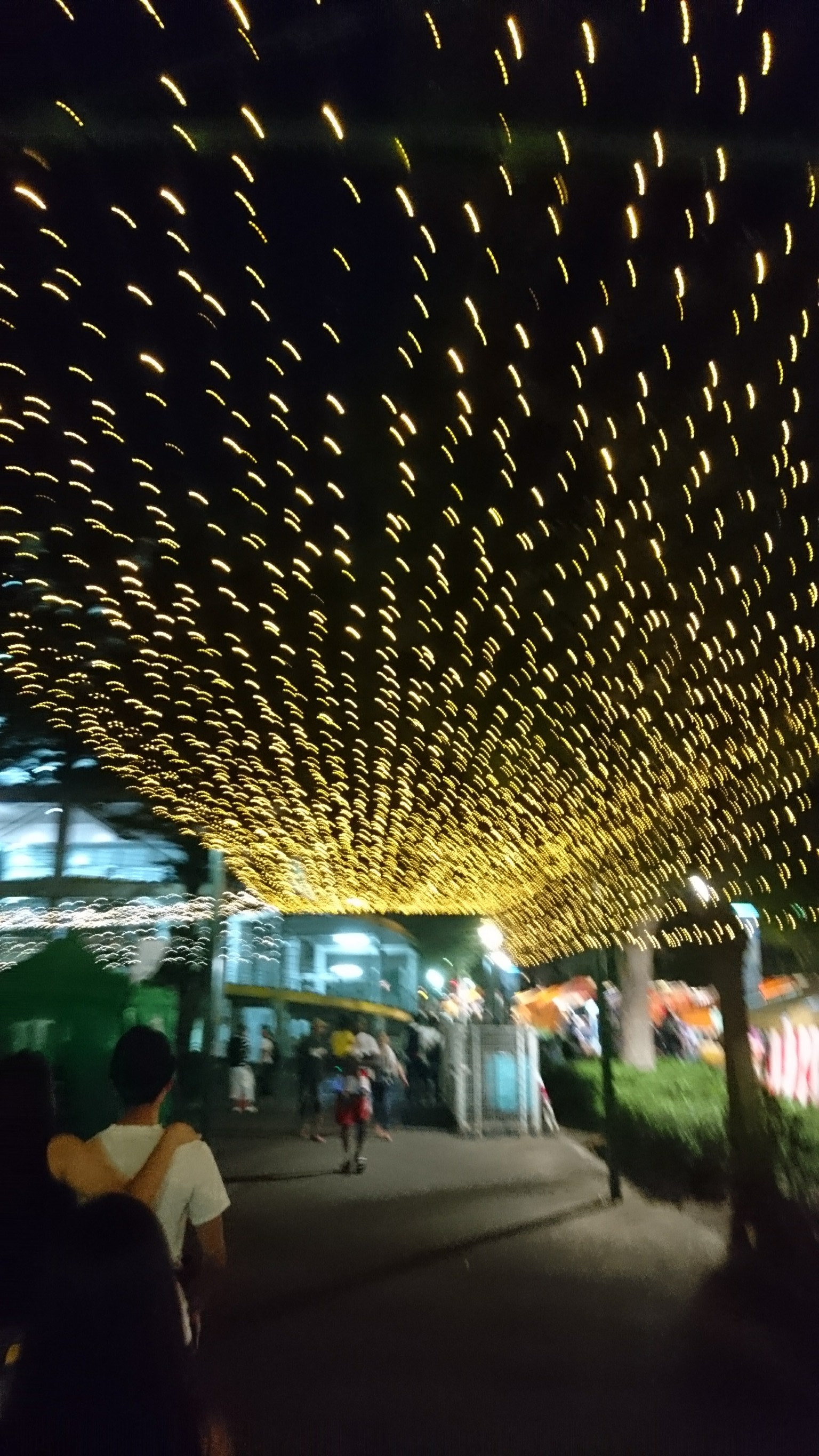 2018_08_23 (9)