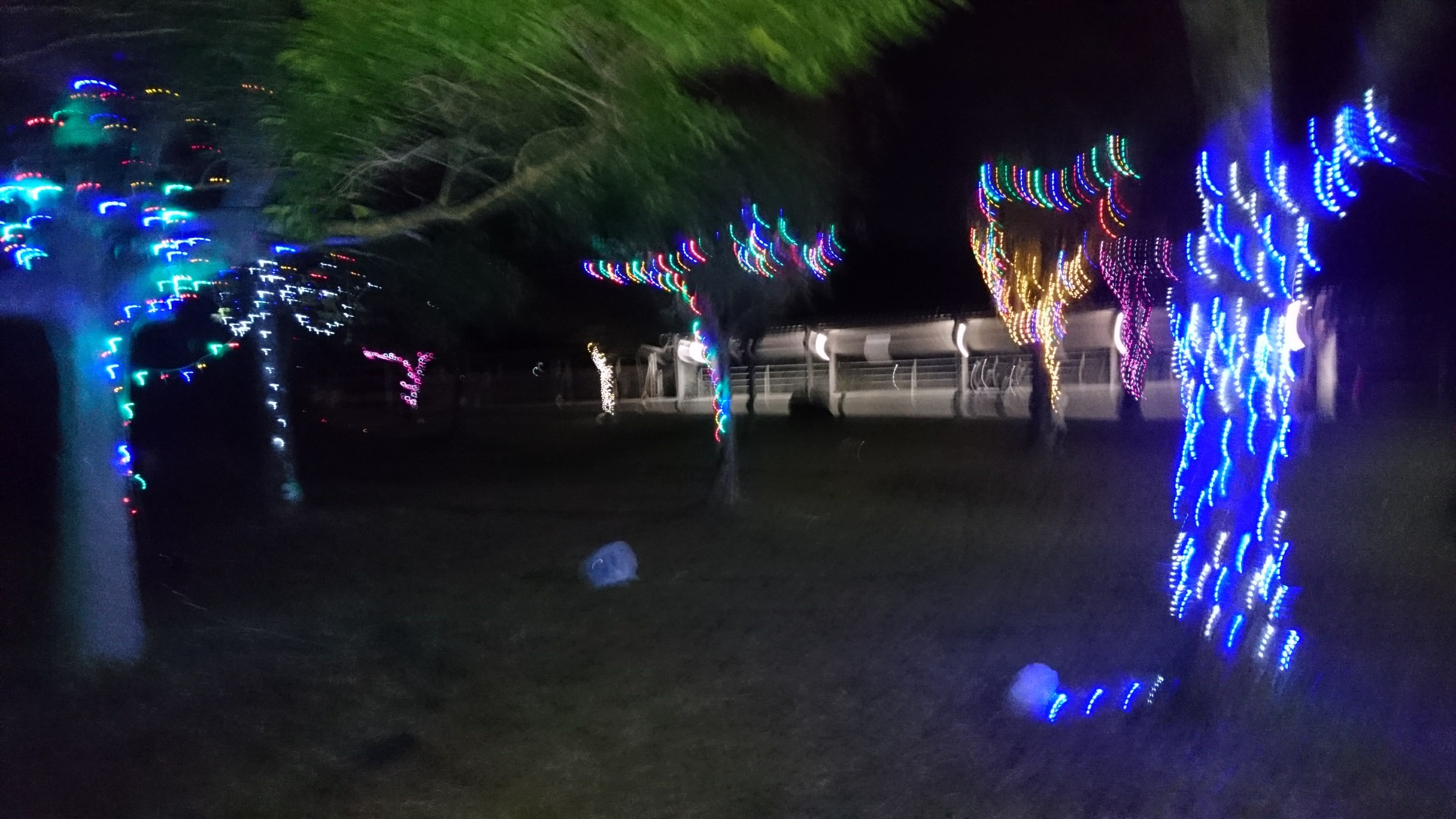 2018_10_28 (12)