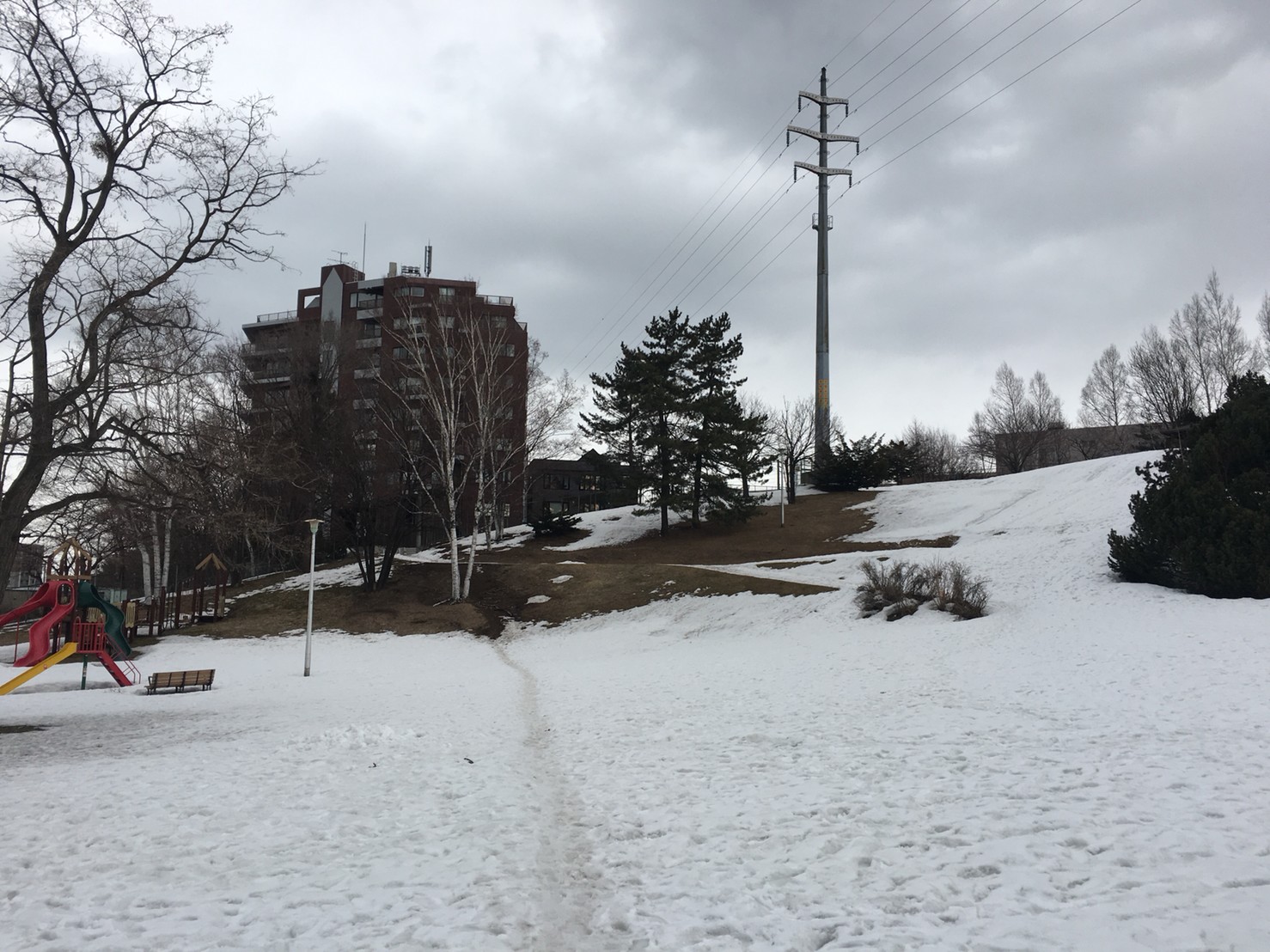 2019_03_15 (7)