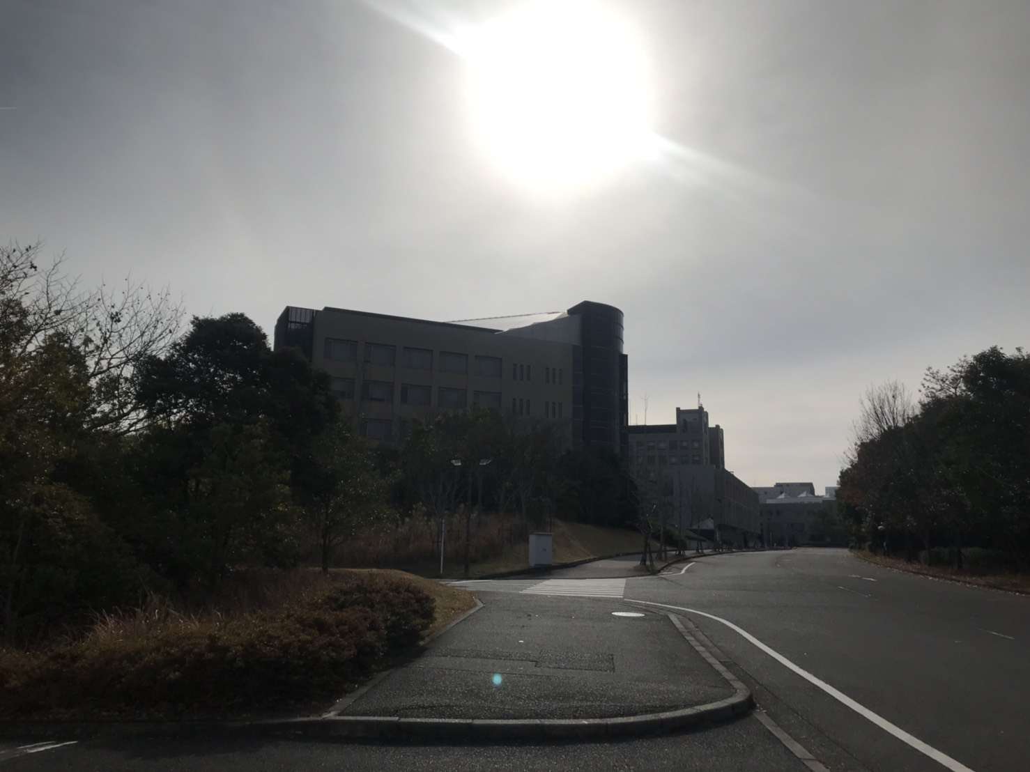 2019_12_21 (1)